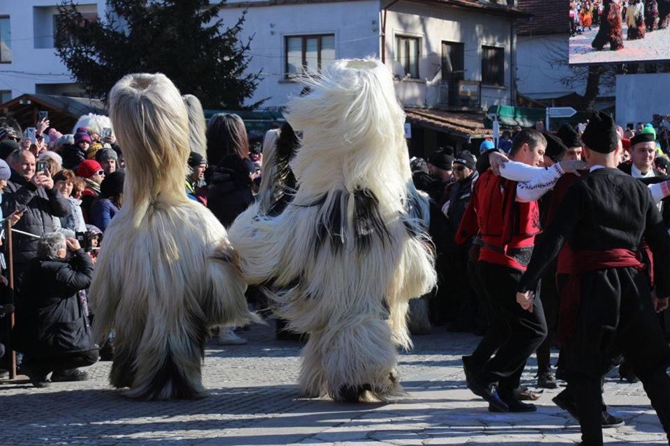 Hotel Alpin - 91 Bansko Eksteriør bilde