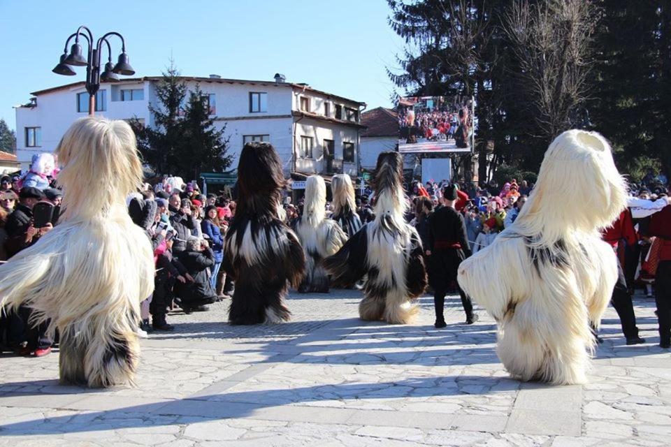 Hotel Alpin - 91 Bansko Eksteriør bilde