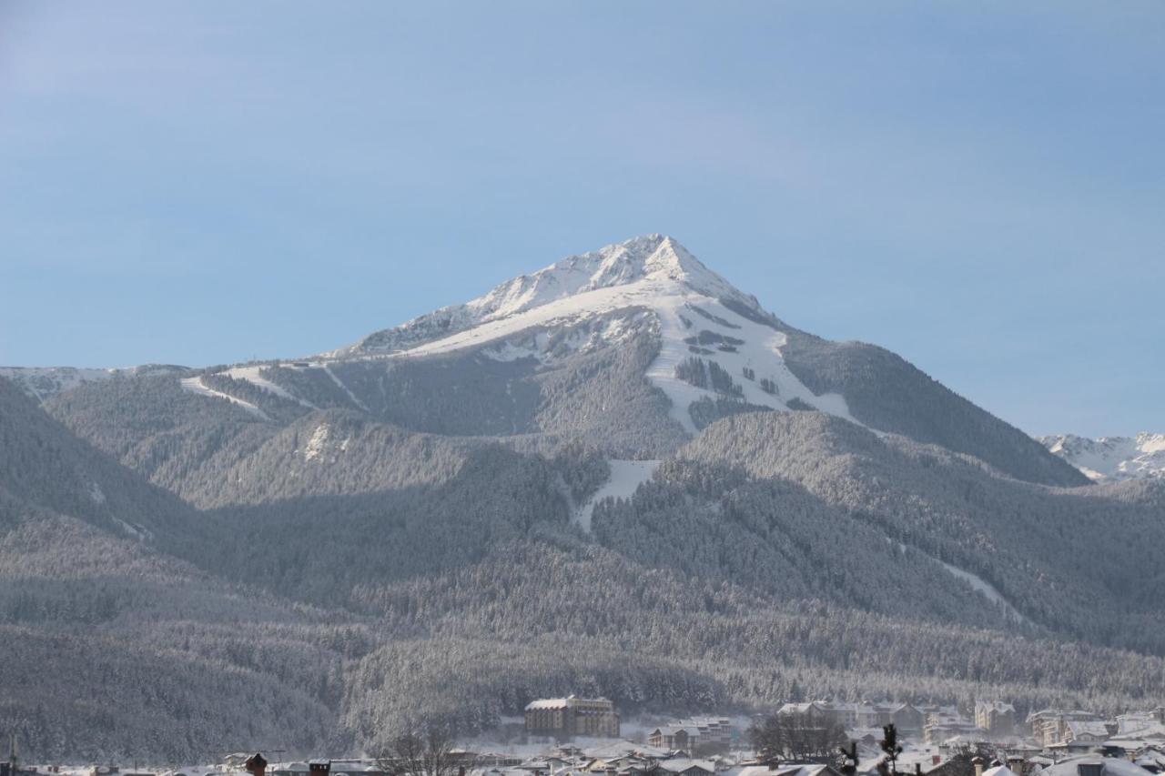 Hotel Alpin - 91 Bansko Eksteriør bilde